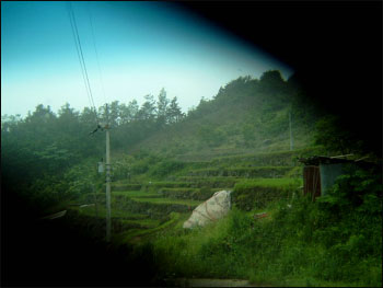 시루떡처럼 펼쳐진 산위의 논 